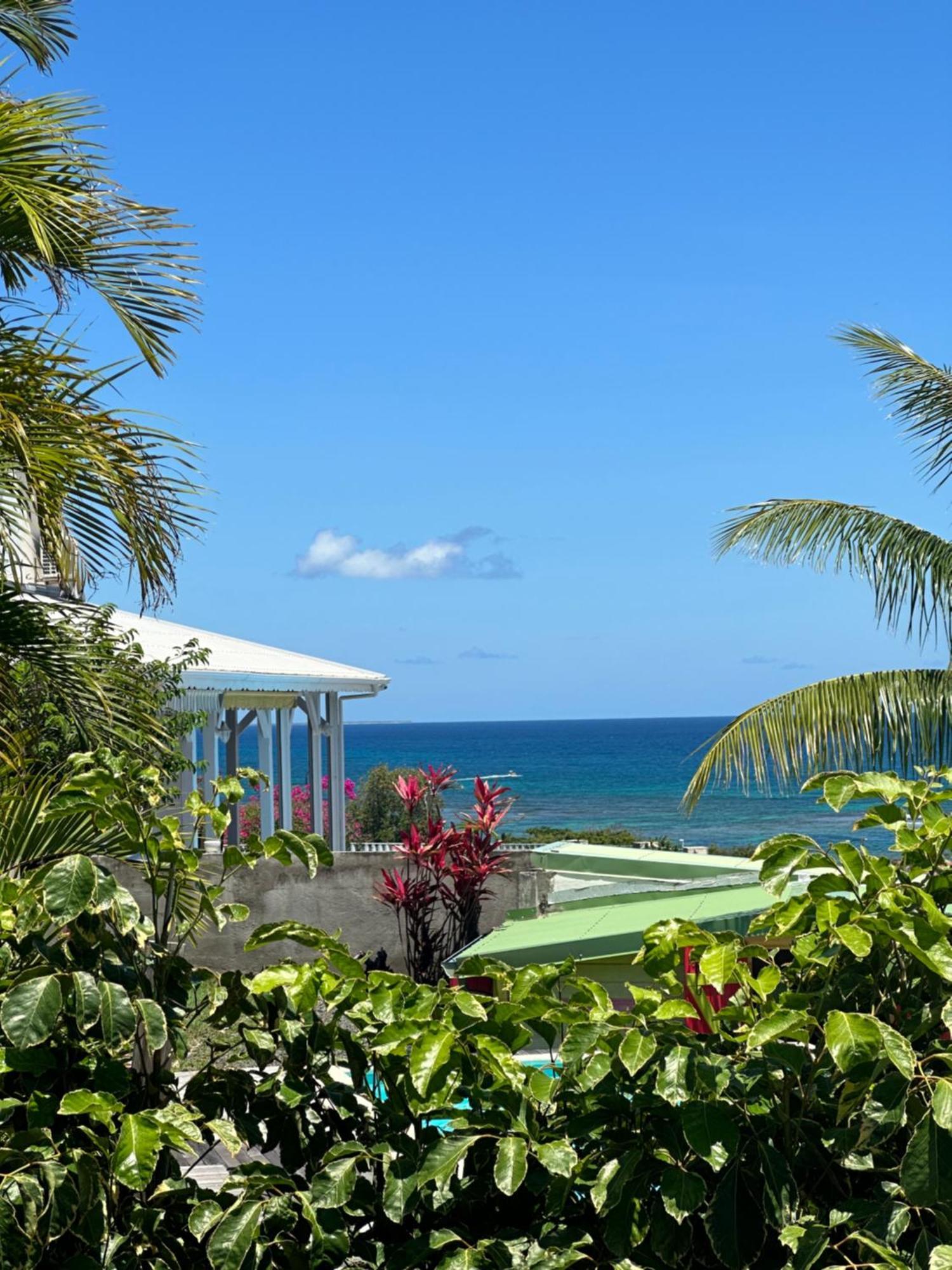 Mango Sea -Villa "Maracudja" Et Appartement "Jojoba" Avec Piscine & Vue Sur Les Iles Saint-Francois  Buitenkant foto